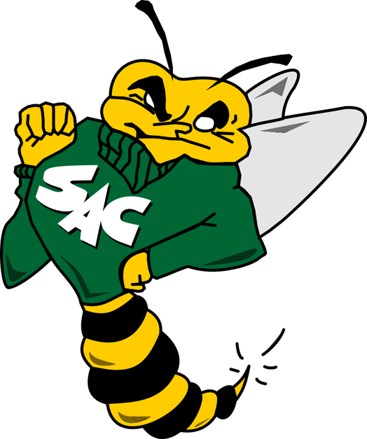 Sacramento State Hornets 1991-2003 Primary Logo iron on transfers for clothing
